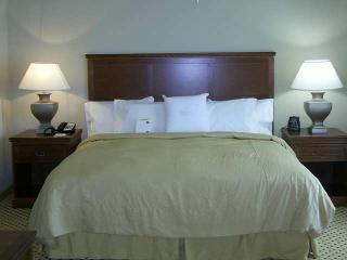 Hotel Homewood Suites By Hilton Houston-stafford