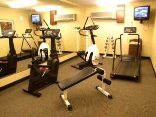 Hotel Homewood Suites By Hilton Houston-willowbrook