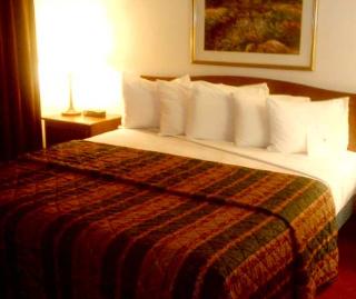 Hotel Homewood Suites By Hilton Houston-willowbrook