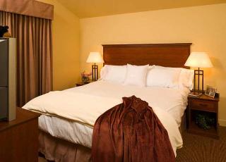 Hotel Homewood Suites By Hilton Jackson