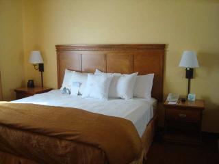 Hotel Homewood Suites By Hilton Phoenix-metro Center