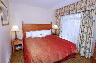 Hotel Homewood Suites By Hilton Sfo Airport North
