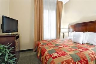 Hotel Homewood Suites By Hilton Tampa Airport