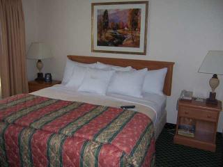 Hotel Homewood Suites By Hilton Toledo-maumee