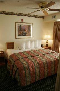 Hotel Homewood Suites Dallas-park Central
