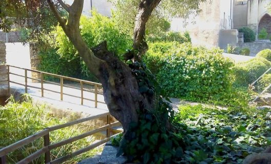 Hotel Hospederia Alcantara
