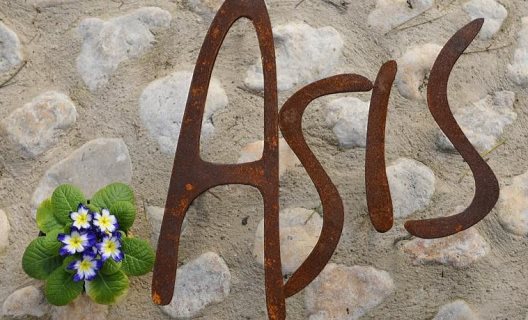 Hotel Hospederia Asis De Marratxinet