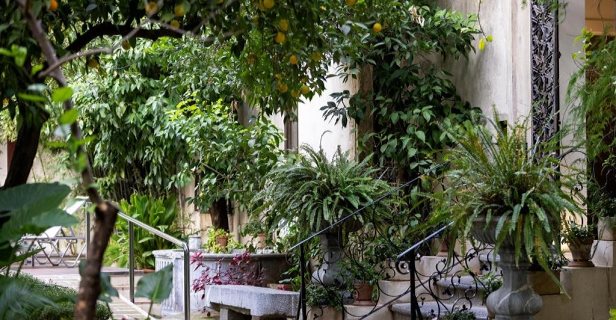 Hotel Hospes Palacio Del Bailio