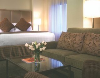 Hotel Hyatt Dulles At Washington Dulles Airport