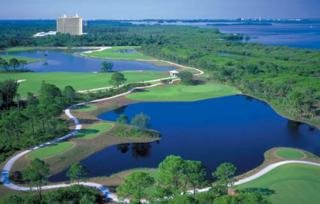 Hotel Hyatt Regency Coconut Point Resort & Spa