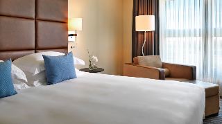Hotel Hyatt Regency Paris Charles De Gaulle
