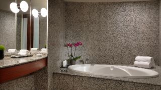 Hotel Hyatt Regency Paris Charles De Gaulle