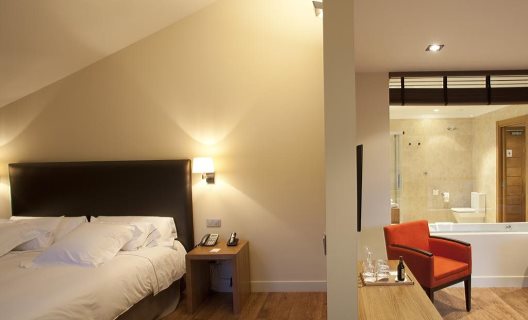 Hotel Ibaia