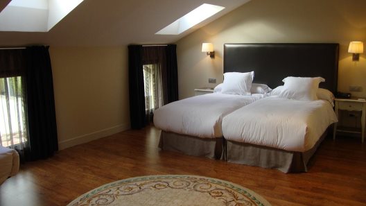 Hotel Ibaia
