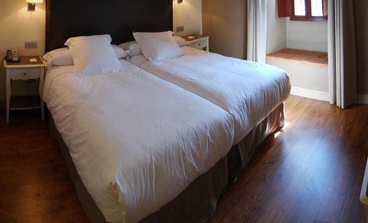 Hotel Ibaia