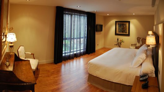 Hotel Ibaia