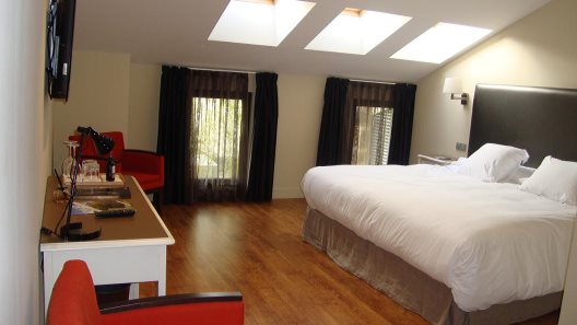 Hotel Ibaia