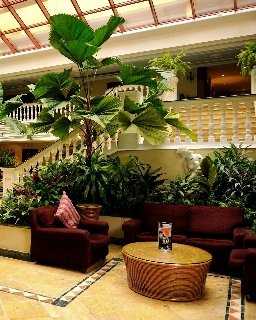 Hotel Iberostar Parque Central