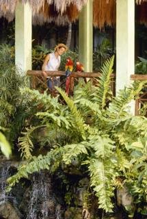 Hotel Iberostar Tucan All Inclusive