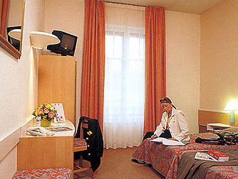 Hotel Ibis Central Dijon