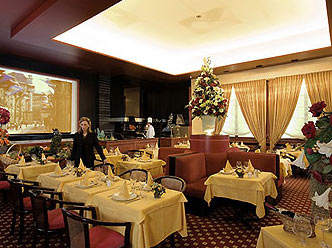 Hotel Ibis Central Dijon