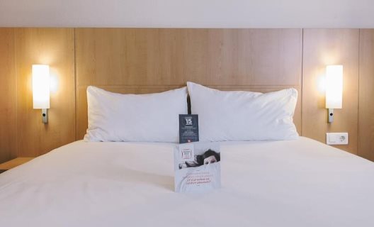 Hotel Ibis Styles Madrid Centro Maravillas