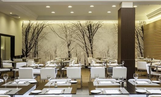 Hotel Ilunion Suites Madrid