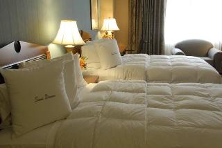 Hotel Inn At The Colonnade Baltimore, A Doubletree