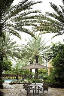 Hotel Intercontinental At Doral Miami