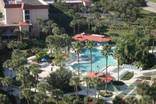Hotel International Palms Resort International Drive