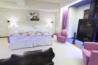 Hotel Ioana