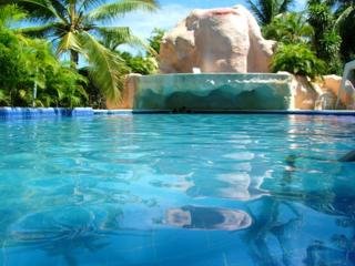 Hotel Ixtapa Palace Resort