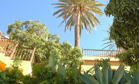 Hotel Jardín Concha