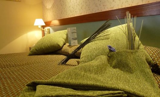 Hotel Jardin De Aranjuez