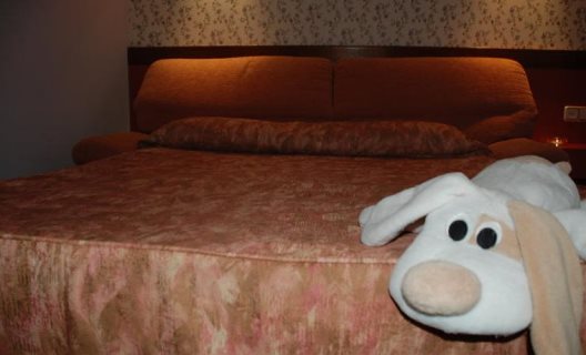Hotel Jardin De Aranjuez