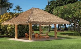 Hotel Kaanapali Beach