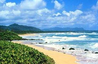 Hotel Kauai Beach Resort