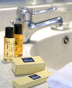 Hotel Kyriad Prestige