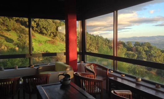 Hotel La Canela