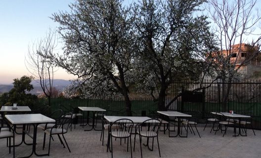 Hotel La Encina Centenaria