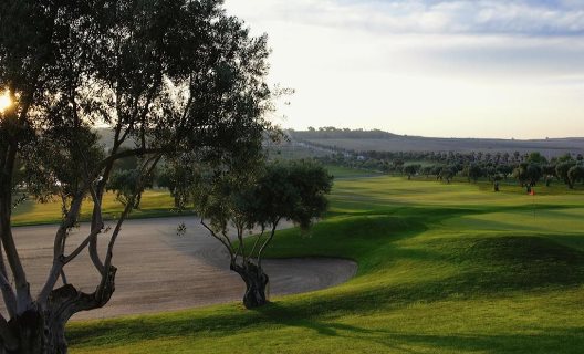 Hotel La Finca Golf & Spa