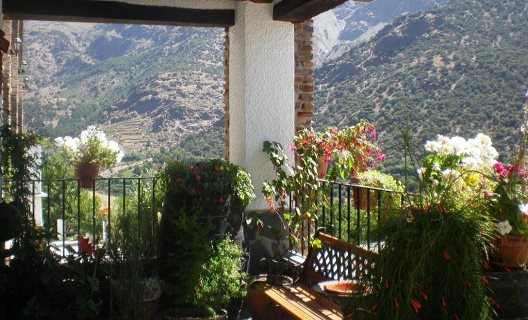 Hotel La Fragua II