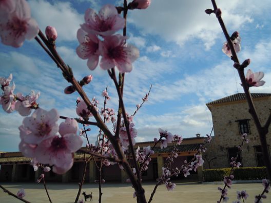 Hotel La Moragona