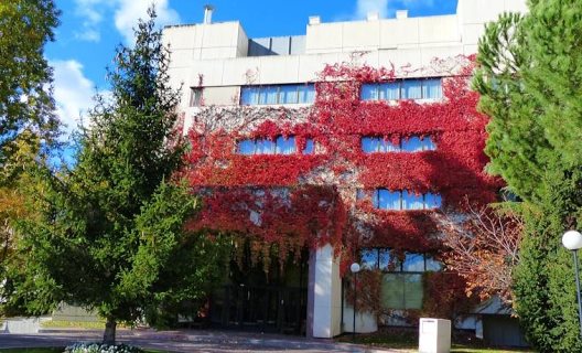 Hotel La Moraleja