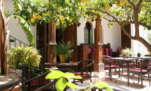 Hotel La Posada Del Ángel