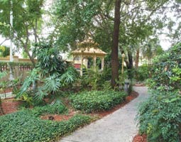 Hotel La Quinta Inn And Suites Usf-busch Gardens