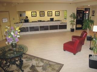 Hotel La Quinta Inn & Suites Bloomington West 2011