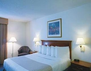 Hotel La Quinta Inn & Suites Dfw Airport South-irving