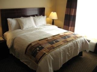 Hotel La Quinta Inn & Suites Tampa Central