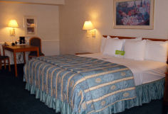 Hotel La Quinta Inn Tampa Bay Airport